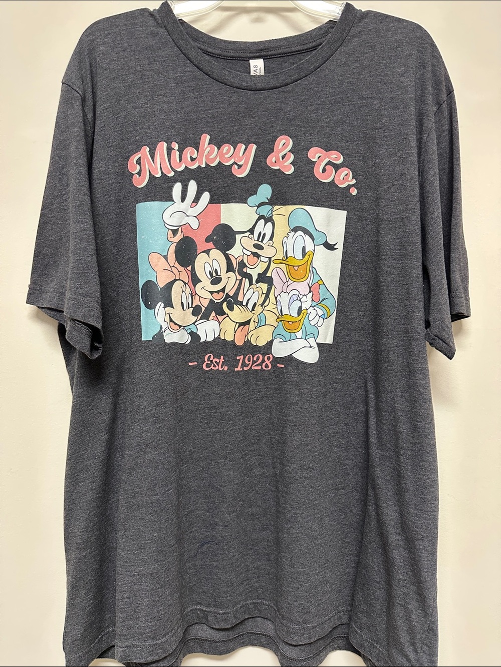 Mickey & Co Gray Disney Graphic Tee Shirt by Bella-Canvas size 3XL